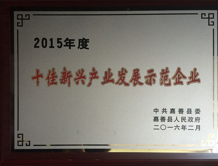 2015年度十佳新(xīn)興産業發展(zhǎn)示範企業